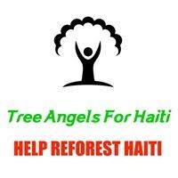 Tree Angels for Haiti logo - Similar company to Noukòd