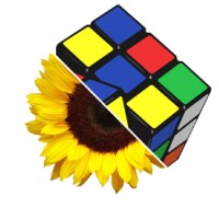 Sunflower Seeds Project logo - Similar company to Clear Vision Investment Llc - Cvi