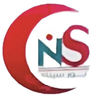 NURSINAI logo - Similar company to Shahen Alarab