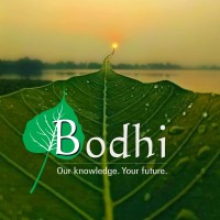Bodhi Professional Solutions Pvt. Ltd. logo - Similar company to Advanced Graphic Systems