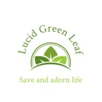 Lucid Green Leaf logo - Similar company to Mind Maestro Private Limited