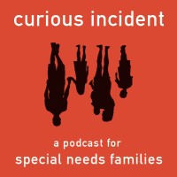 Curious Incident: For Special Needs Families logo - Similar company to Congregation Beth Or
