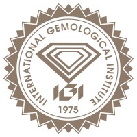 International Gemological Institute (IGI China) logo - Similar company to Texcon Ltd