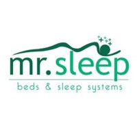 Mr. Sleep logo - Similar company to Spring & Sponge