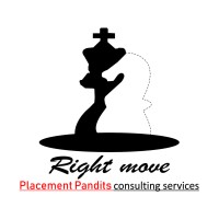 Placement Pandits logo - Similar company to Opal Bpm Ltd