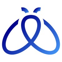 Blue Border logo - Similar company to Parrillan