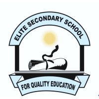 ELITE SECONDARY SCHOOL logo - Similar company to Elite School Sfax