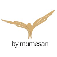 Mumesan Lighting & Decoration / By Mumesan logo - Similar company to Kentglobal Park