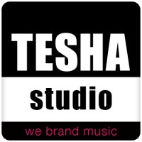 TESHA STUDIO logo - Similar company to Sliceplay