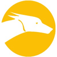 TechHOUNDS logo - Similar company to Techounds Llc