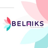 Belniks logo - Similar company to Cooweb Colombia