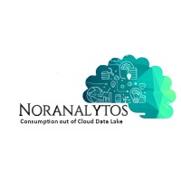 Noranalytos logo - Similar company to Kalachandji'S
