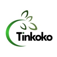 Tinkoko Global Services Limited logo - Similar company to Isaworld And Creatives Limited