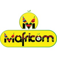 Mafricom congo logo - Similar company to Mafricom Sarl
