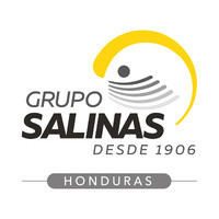 Grupo Salinas Honduras logo - Similar company to Asociación Fintech Honduras