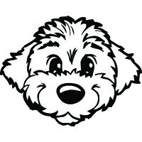 MGMT Boston logo - Similar company to Matterbeam