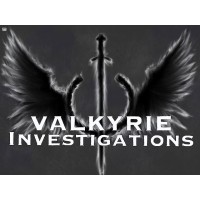 Valkyrie Investigations logo - Similar company to Tier One Solutions.