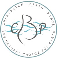 Charleston Birth Place logo - Similar company to Florence Crittenton Programs Of South Carolina