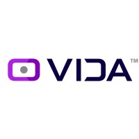 VIDA IT logo - Similar company to Ist Secure