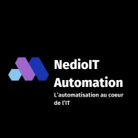 NedioIT Automation logo - Similar company to Digital Data Solution Technology