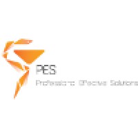 Professional Effective Solutions logo - Similar company to Amedia Group