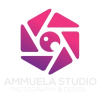 AMMuela Studio logo - Similar company to Opentech Solutions