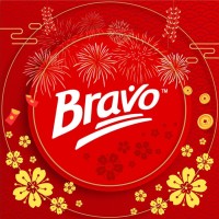 BravoHR logo - Similar company to Cognitocrm