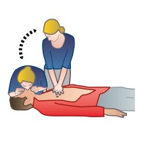 Hjärtochlungräddning.se logo - Similar company to Hermelinen