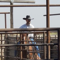Texas