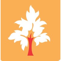 Starflakes Enterprise logo - Similar company to The D.A.Y.E Hub Africa - Defining And Advancing Youngsters For Excellence Foundation