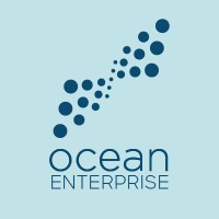 Ocean Enterprise Collective logo - Similar company to Pulsar Chain