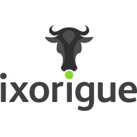 Ixorigue logo - Similar company to Bumerania