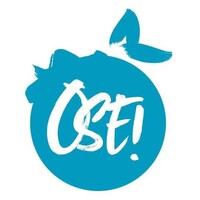 Ose le pays des Bleuets logo - Similar company to Services Aux Entreprises De La Capitale - Centre De Services Scolaire De La Capitale (Cssc)