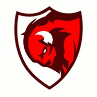 The Buffalo Rojo Design Co. logo - Similar company to Pmw.Net