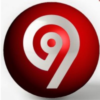 Nine Investment Capital Enterprises logo - Similar company to Vencedor