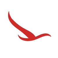 Fly and more logo - Similar company to B&S