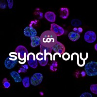 Synchrony EG logo - Similar company to Young Global Impact (Yga)