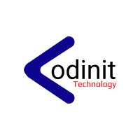Codinit Technology Limited logo - Similar company to Viable Knowledge Masters