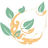 Izylify - Conception Web