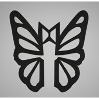 Iron Monarch Capital logo - Similar company to Zoned
