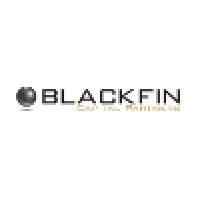 BlackFin Capital Partners logo - Similar company to Weefin