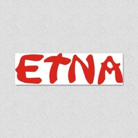 Etna Group logo - Similar company to Techconsonance