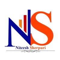 Niteesh Sherpuri logo - Similar company to Sn The Creation