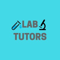 LabTutors logo - Similar company to Ryvex