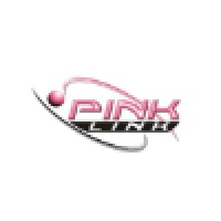 Pink Link Network logo - Similar company to Web Development Research Lab