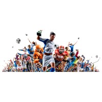 Florida Sports Insurance logo - Similar company to Sponsor Proof