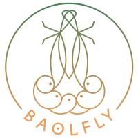 BAOLFLY srl logo - Similar company to Tyto