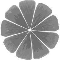 Oranjelo logo - Similar company to Terraform