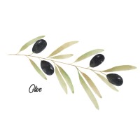 Olive Bookkeeping logo - Similar company to Cheesmans