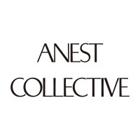 ANEST COLLECTIVE logo - Similar company to Value Search